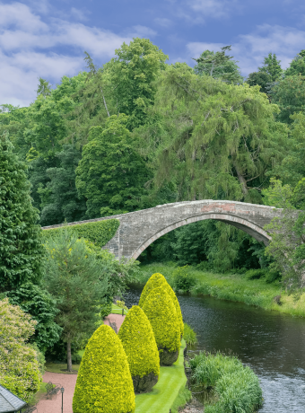 ROBERT BURNS DINNER & Speyside 15+ 24.01.2026