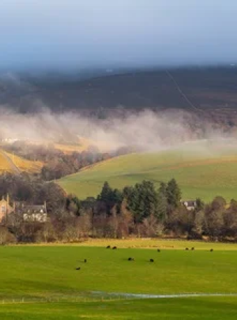 Nikolaus Whisky Tasting 05.12.2025